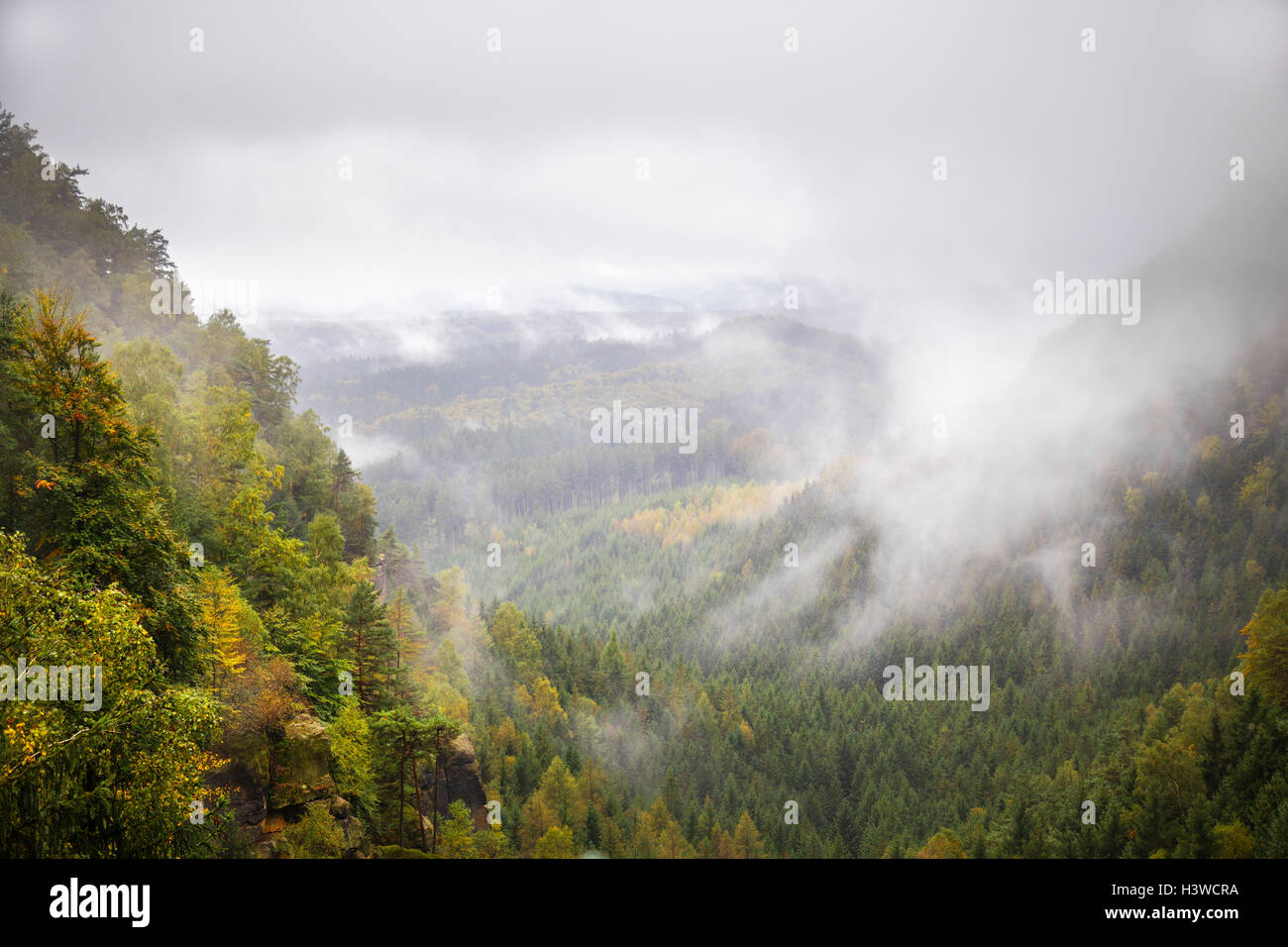 Vista nebbiosa in Svizzera boema Parco Nazionale di Ceske Svycarsko vicino Mezni Louka, Usti nad Labem, Repubblica Ceca Foto Stock