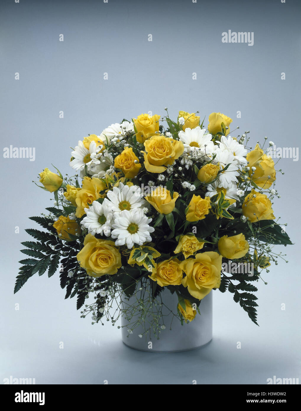 Bouquet, giallo, bianco, tea rose, oxeye daisys, vase,, fiori, Vaso di fiori, piante, studio, Foto Stock