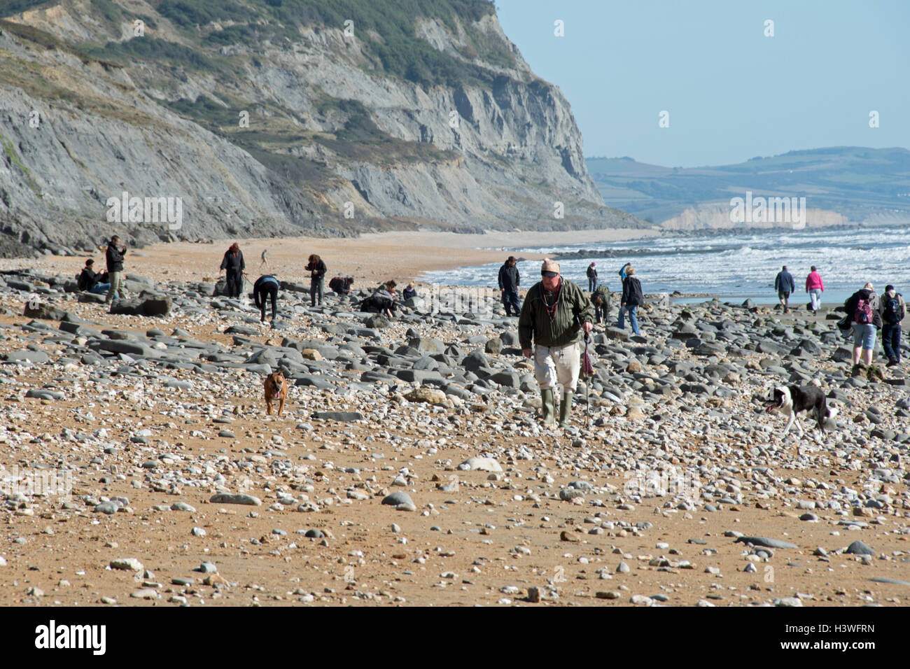 I cacciatori di fossili presso la famosa in tutto il mondo Jurassic Coast tra Charmouth e Golden Cap, Dorset. Foto Stock