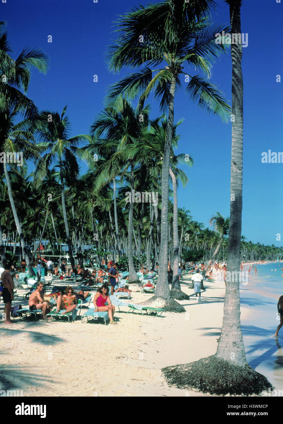 Repubblica Dominicana, Punta Cana Bavaro Beach Resort, spiaggia vacanza scena, east coast, Costa del Coco Beach, spiaggia dell'albergo, Palm Beach, spiaggia sabbiosa, palme, palm, bagnanti, bagnante, mare, sole panchine, sun panca, sedie a sdraio, sedia a sdraio, vacanziere, bagno solare, prendere il sole, spiaggia scena Foto Stock