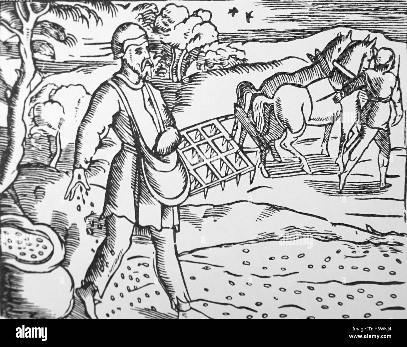 Woodblock stampa raffigurante la semina di semi, mentre i cavalli continuano ad arare i campi. Datata XVI Secolo Foto Stock