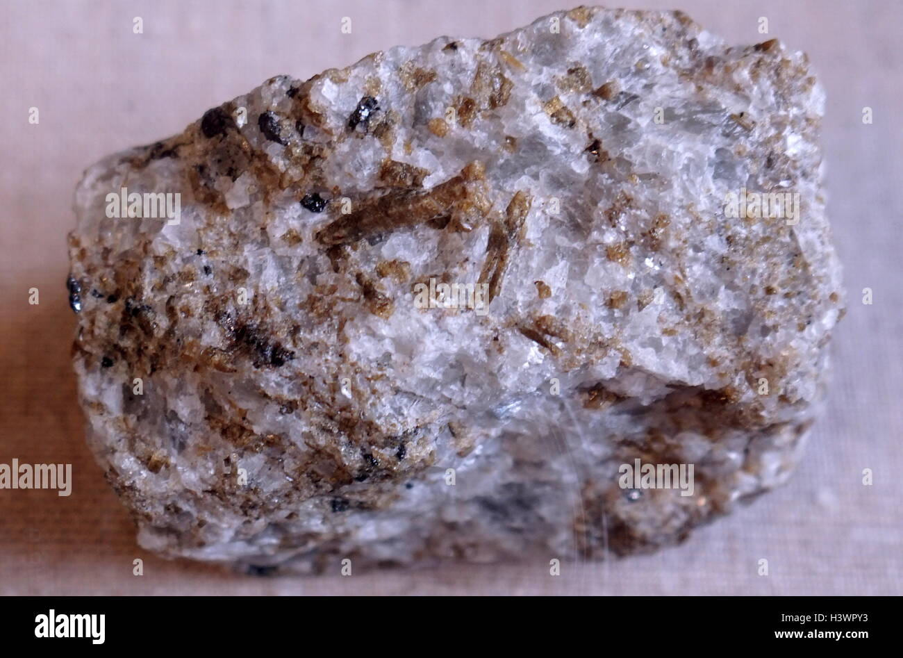 Un campione di scisto, a medio e a grana grossa, foliated, rocce metamorfiche contenenti tipicamente Muscovite, Biotite, clorito e quarzo. Feldspar, solitamente albite o oligoclase, inoltre si verifica comunemente. In data xx secolo Foto Stock