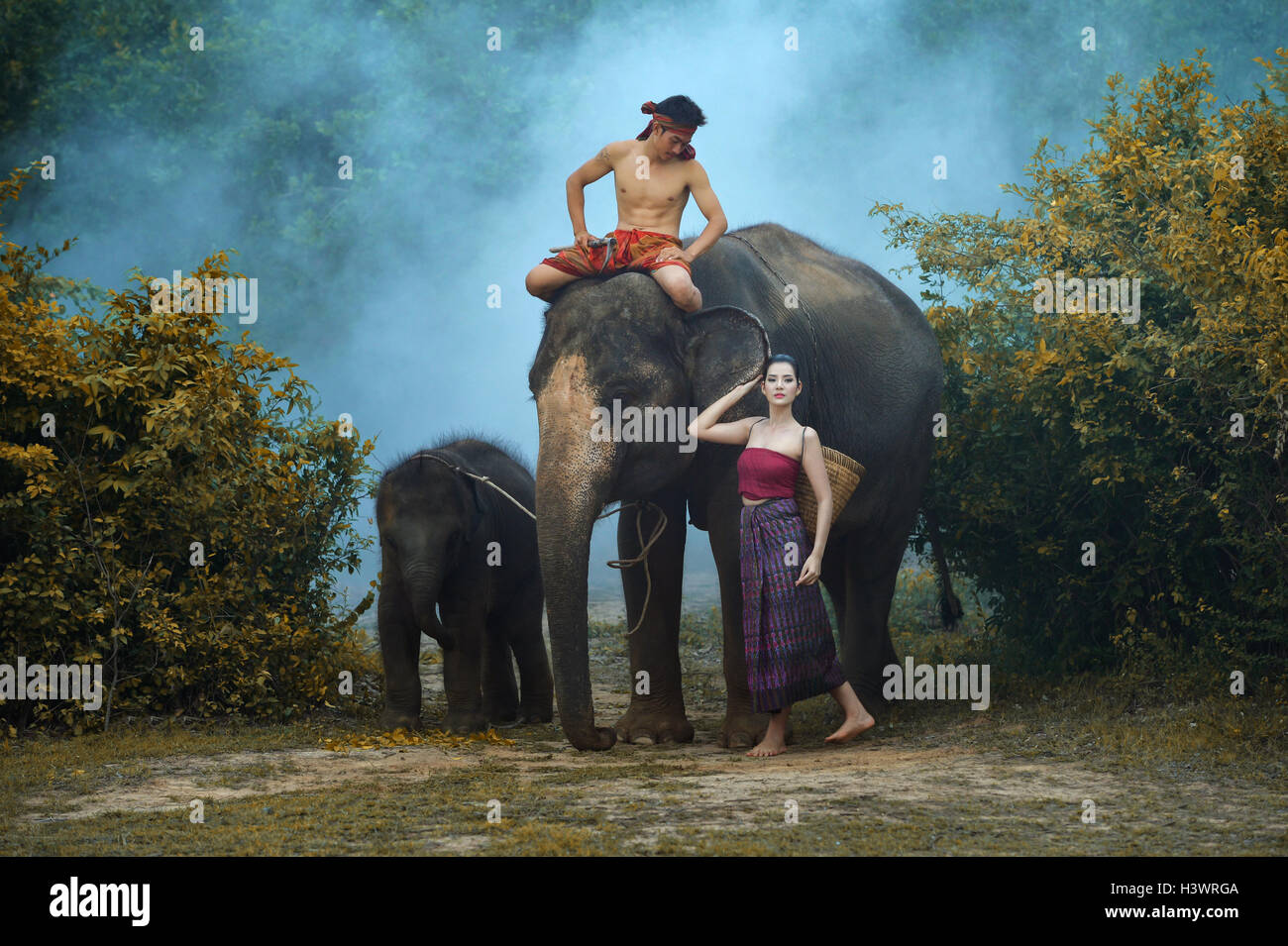 Mahout uomo seduto su un elefante in piedi accanto alla donna e elephant di vitello, Thailandia Foto Stock