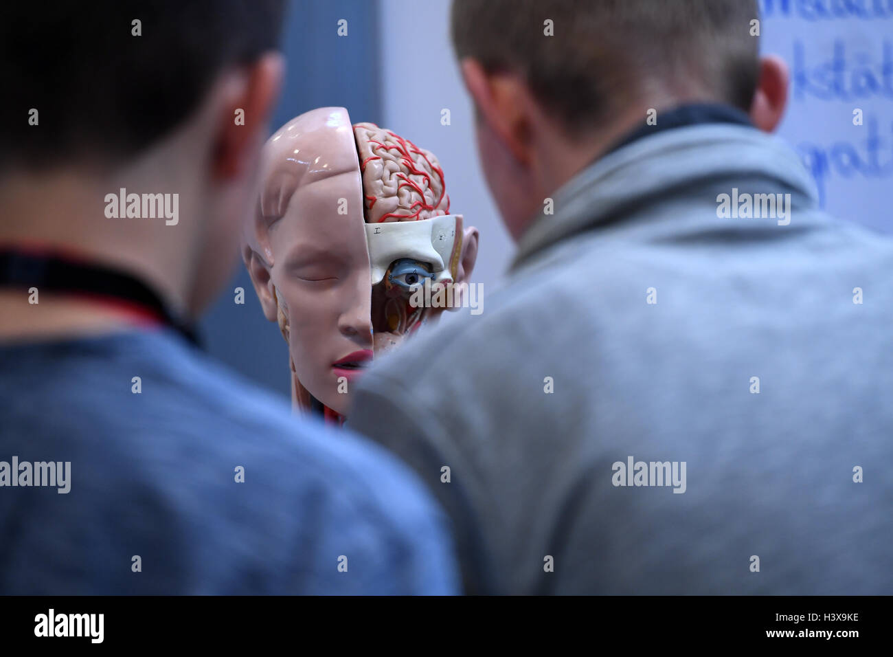 Geltow, Germania. Xii oct, 2016. 8 classe gli studenti di una scuola nella regione Potsdam-Mittelmark guardare a un modello del corpo umano nel corso di una fiera di formazione con il titolo 'JobNavi PM' in Geltow, Germania, 12 ottobre 2016. JobNavi PM è un orientamento al lavoro parcours per gli alunni nell'ottavo e nono grado di diverse scuole e viene eseguita per la prima volta con 7000 alunni durante l anno scolastico del 2016/2017. Foto: RALF HIRSCHBERGER/ZB/dpa/Alamy Live News Foto Stock