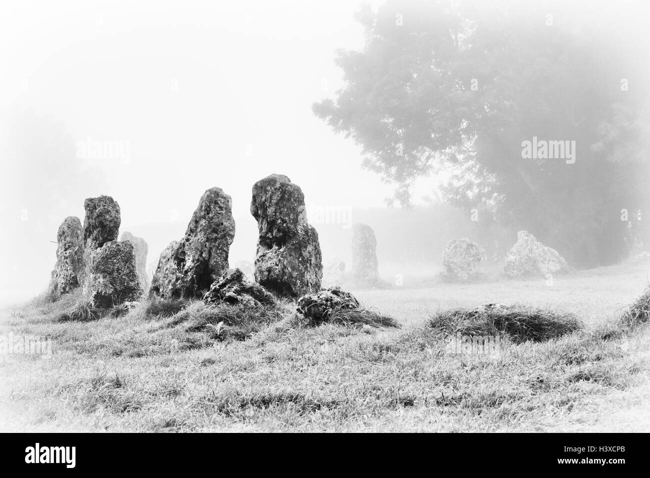 Il Rollright Stones nella nebbia. Oxfordshire, Inghilterra. In bianco e nero Foto Stock