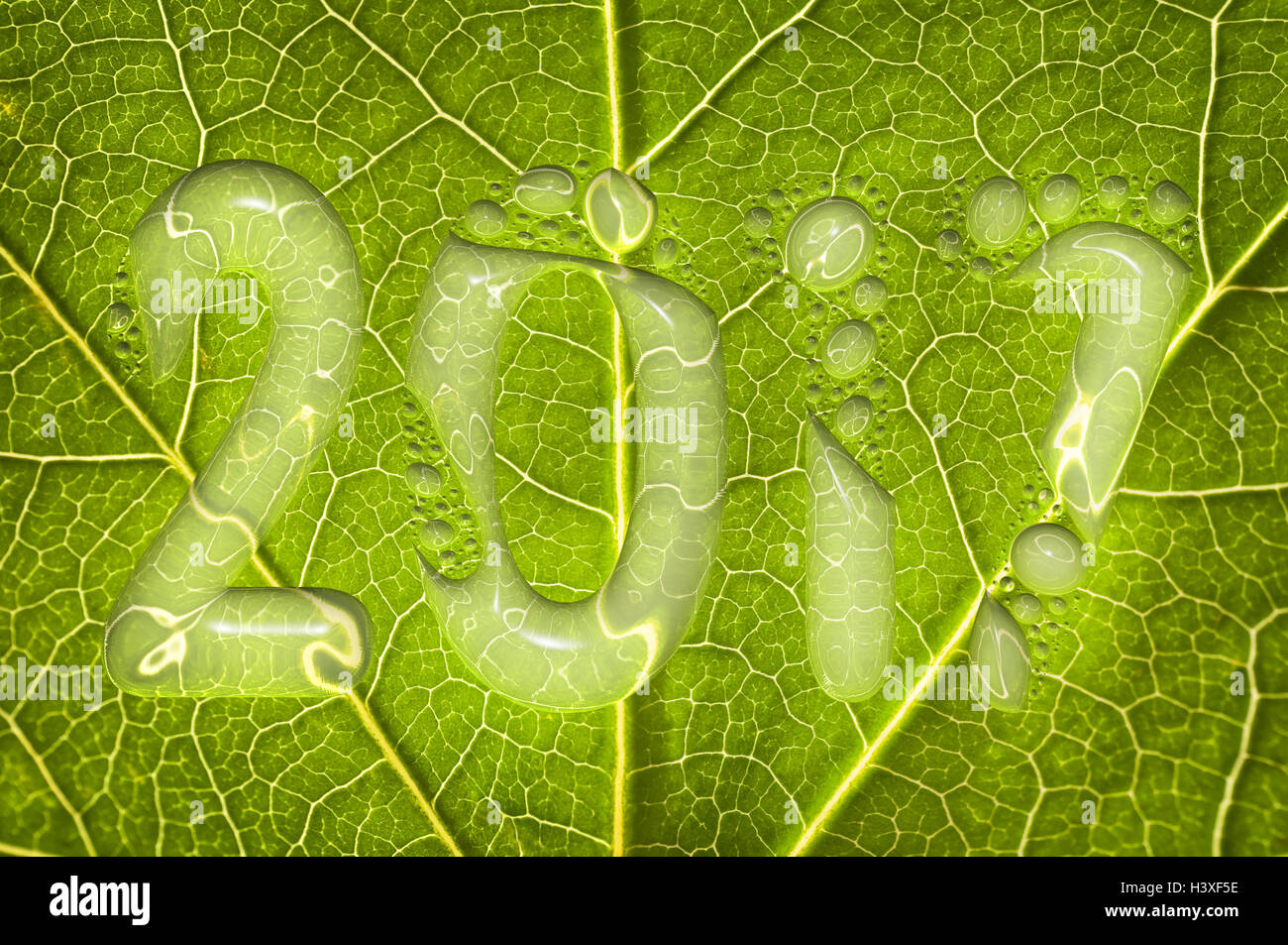 2017, gocce di pioggia su una foglia verde sfondo, 2017 Anno nuovo concetto di ambiente Foto Stock