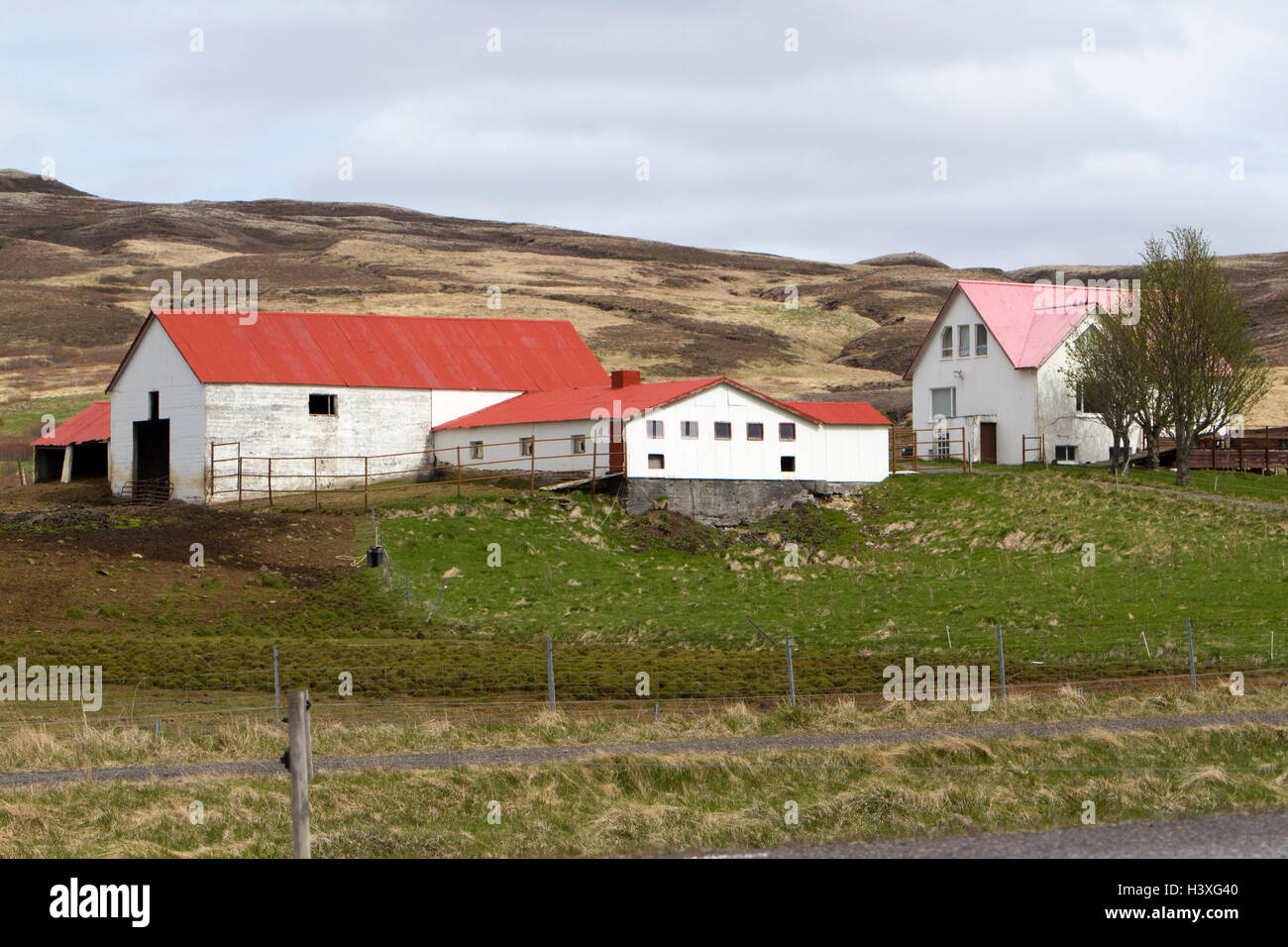 Piccola fattoria islandese homestead casa colonica con fienile dal tetto rosso Islanda Foto Stock