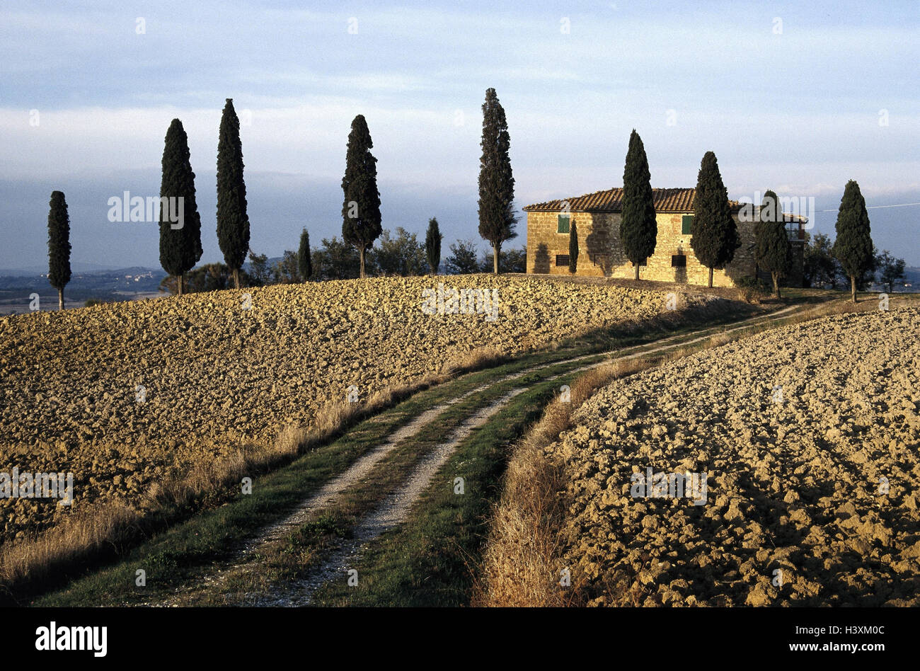 L'Italia, Toscana, Pienza, scenario, campo Modo, country house, Europa, provincia siena, "Crete Senesi", la superficie di messa a terra, campo economia, olivi, cipressi, casa residenziale, casa, costruendo, agriturismo, campo scenario, solitario, idillio, esterno Foto Stock