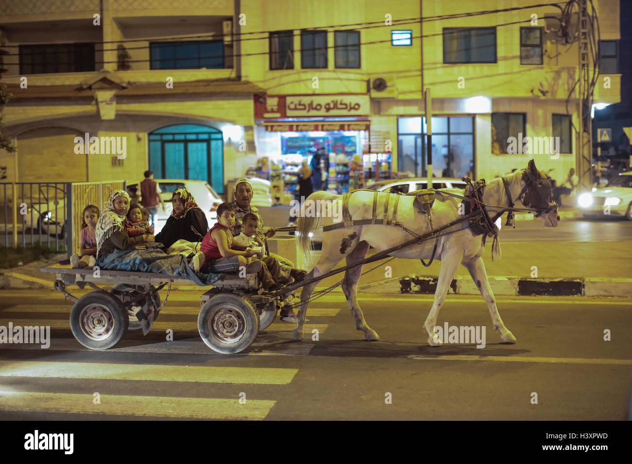 Un cavallo di trazione di un carrello portante un famiglia di Gaza City. Da una serie di foto ha commissionato dalla ONG britannica, aiuto medico per PAL Foto Stock