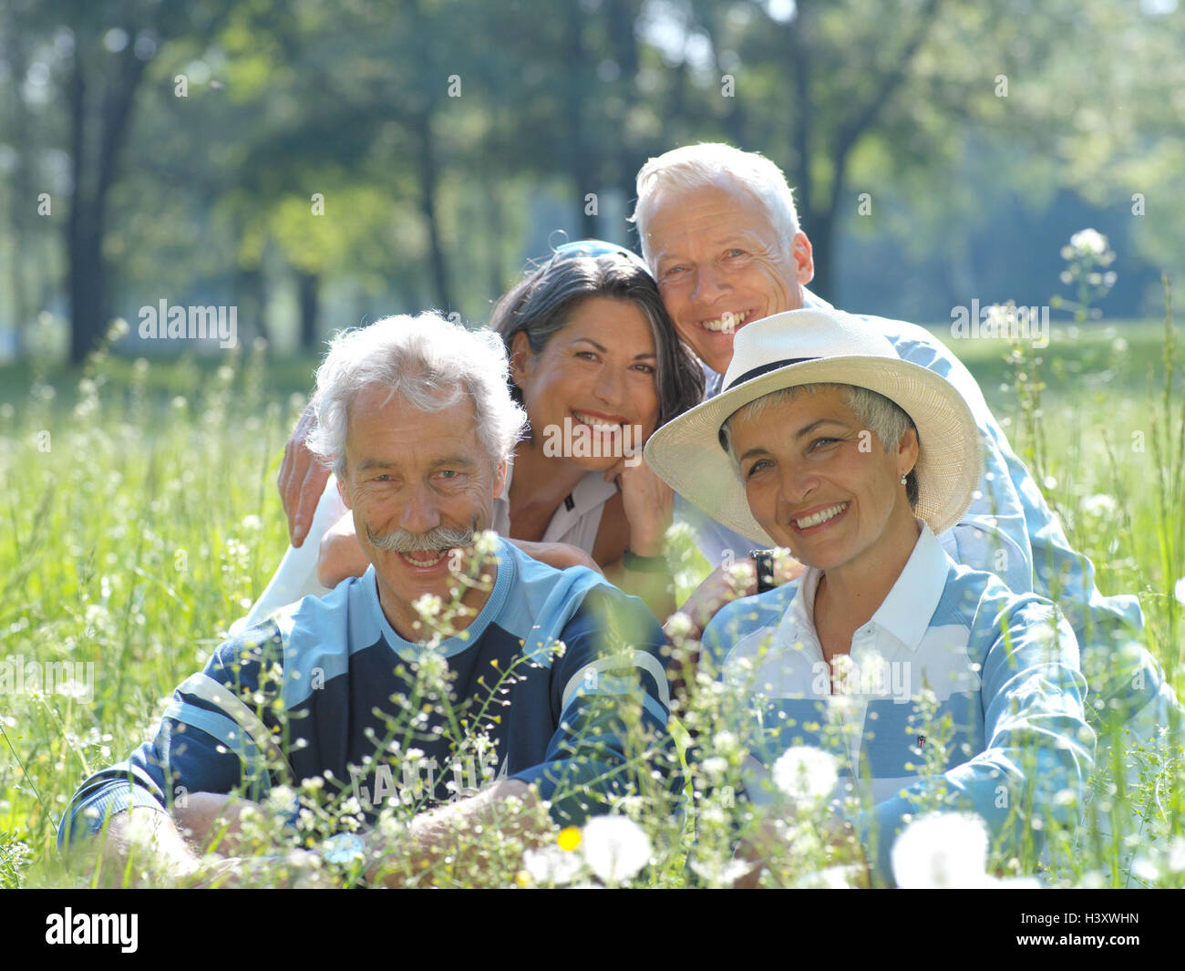 Prato, coppie senior, felice, Ritratto, Foto di gruppo, anziani, coppie, amici, quattro, l'amicizia, la migliore età, felice, allegria, sorriso, tempo libero, natura pianta, flower meadow, Puff's fiori, parco, estate, all'esterno, soleggiato Foto Stock