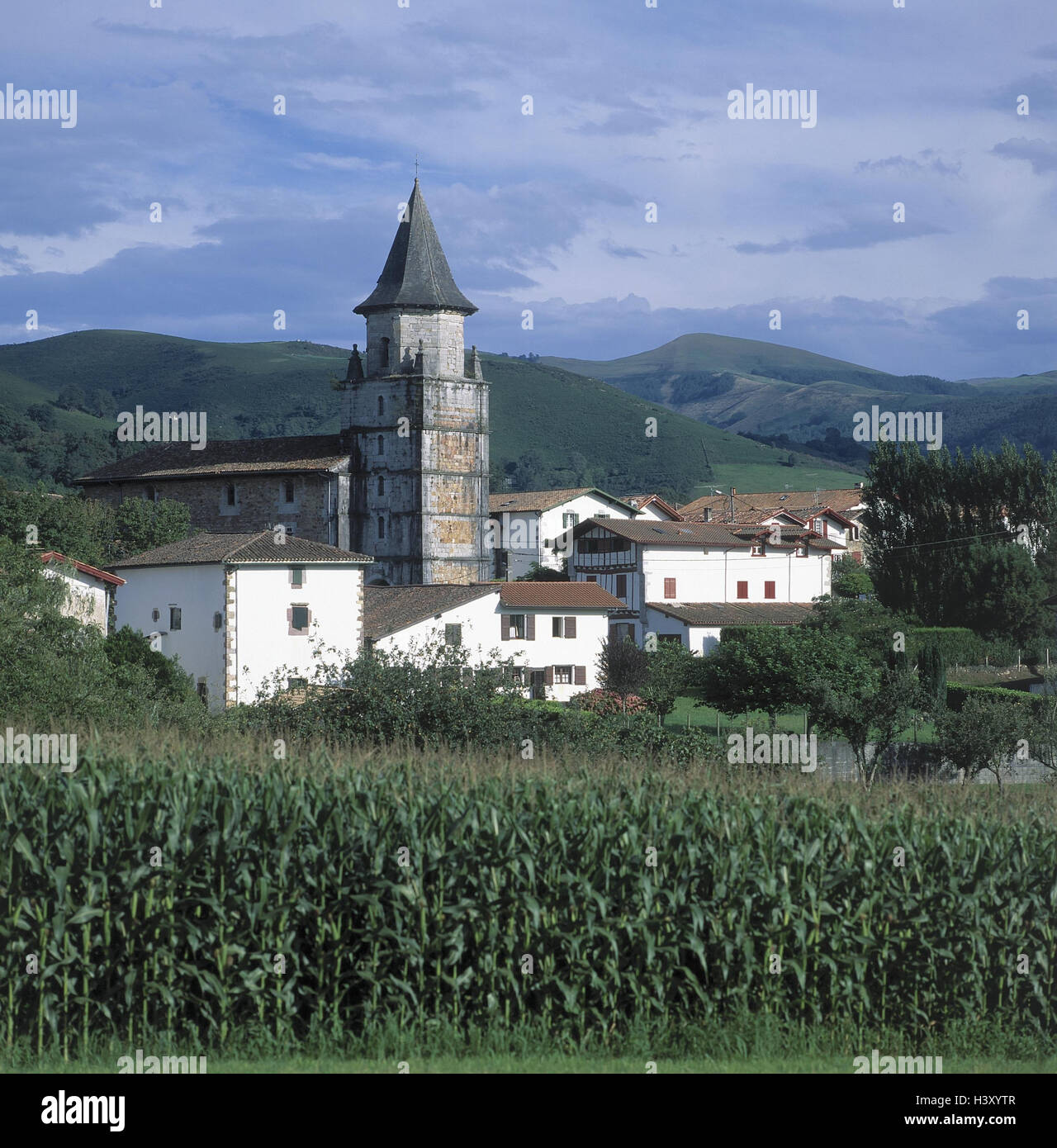 Francia, Aquitaine-Poitou, Ainhoa, vista locale, la chiesa, il campo di grano, Europa, le Province Basche, Basco del villaggio residenziale, case, case, agricoltura, campo di mais, la coltivazione, la coltivazione del mais, scenario, esterno Foto Stock