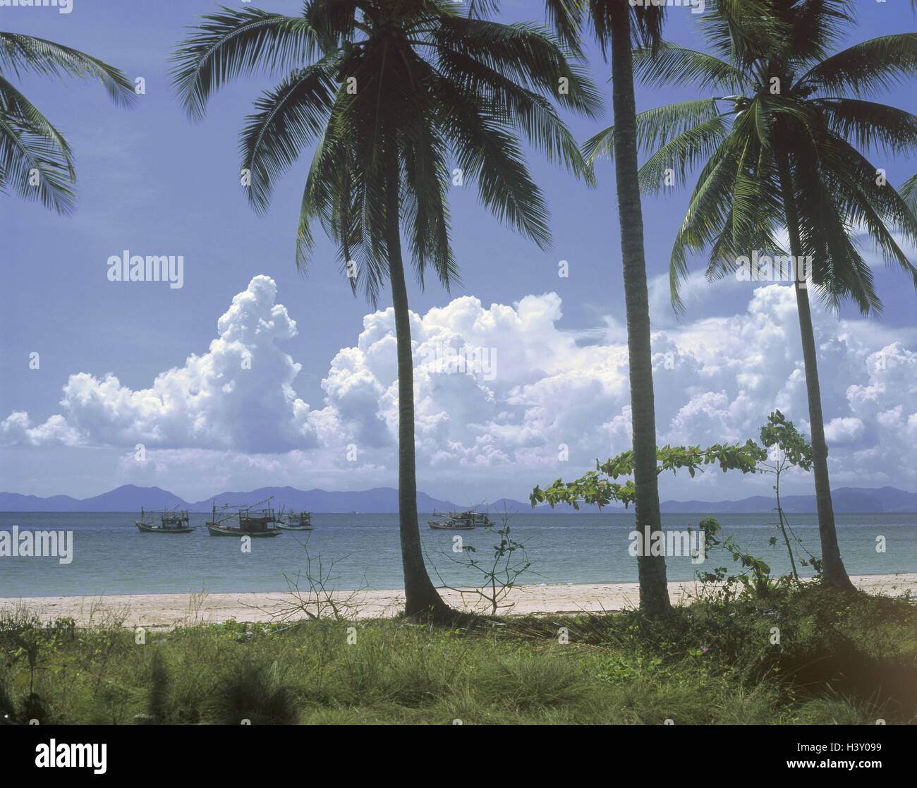 Thailandia, Krabi, Palm Beach, barche da pesca a sud della Thailandia, isola, spiaggia, palme, costa, mare, oceano Indiano, stivali Foto Stock