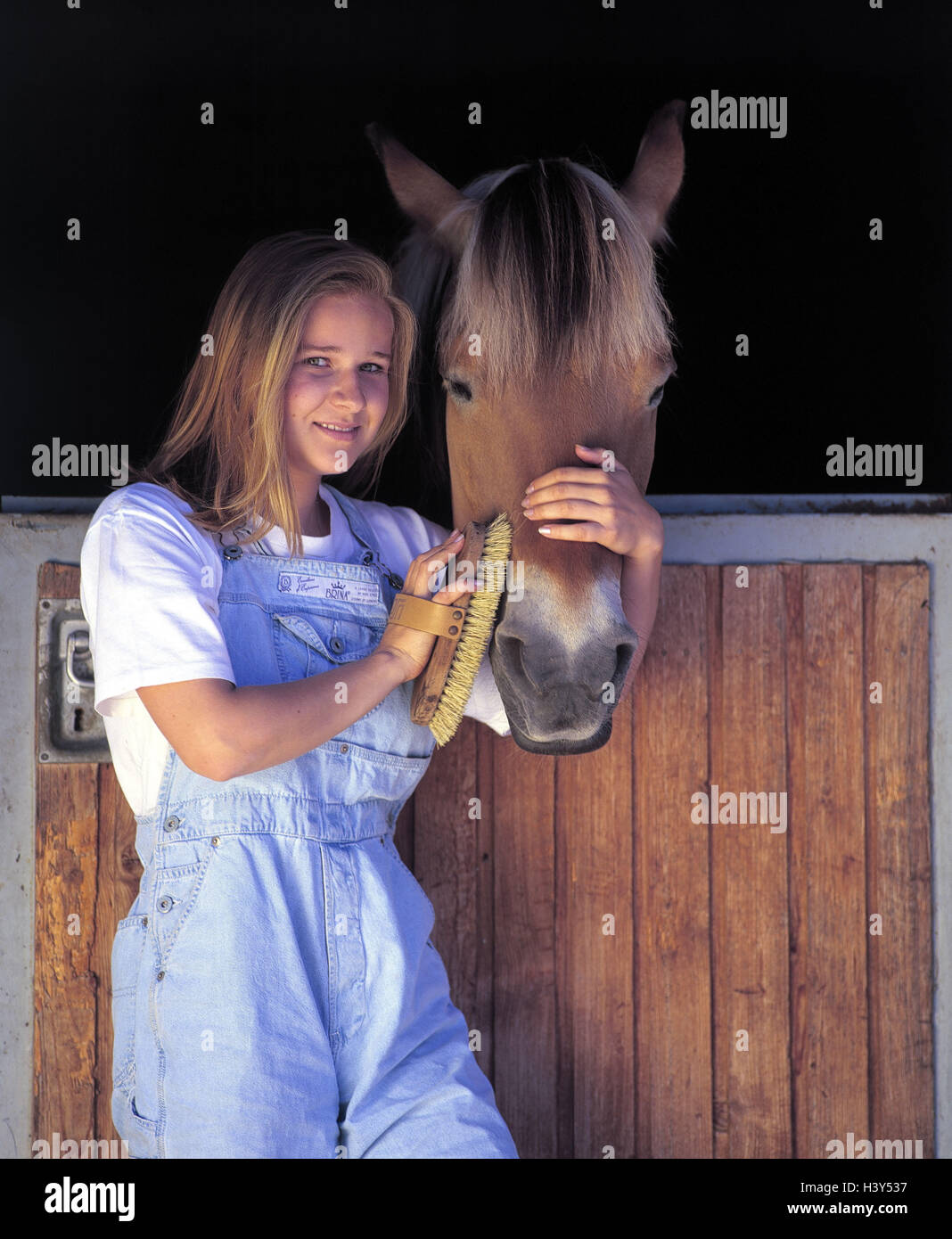 Porta della stalla, ragazza, spazzola, testa di cavallo corte di spurgo, cavallo, cavalli, bambini, giovani, animale-amorevole cura degli animali, cavallo di cura Foto Stock