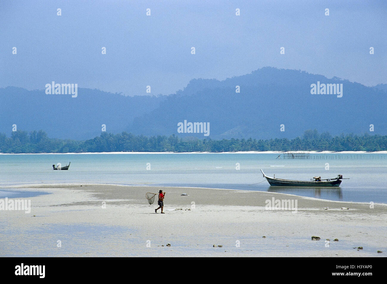 Thailandia, Khao Lak, Andamansee, stivali, pescatori, Kescher, non portano alcun modello di rilascio Kao Lak, Khaolak, Kaolak, fuori acqua, Riva, foreste vergini, foresta pluviale, legno, Palme, spiaggia, uomo, rete da pesca, pesce, lavorare, lavorare, lago, mare, spiaggia sabbiosa, scenario, mounta Foto Stock