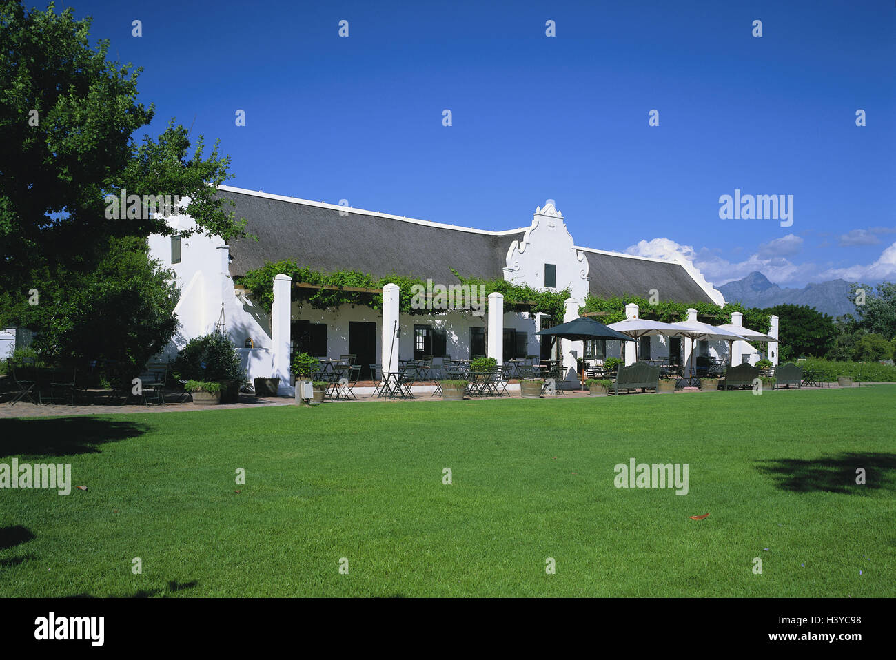 Sud Africa, la provincia del Capo, Stellenbosch, vigneto, 'Spiers', terrazza, Africa, la provincia del Capo, la provincia del Capo, area vitivinicola, la viticoltura, la regione dei vini di buona casa, architettura, Cape-Dutch, Jonkershoek valley, economia, terrazza ristorante, ombrelloni, gastronomia, Paesi stranieri, esterno, Foto Stock