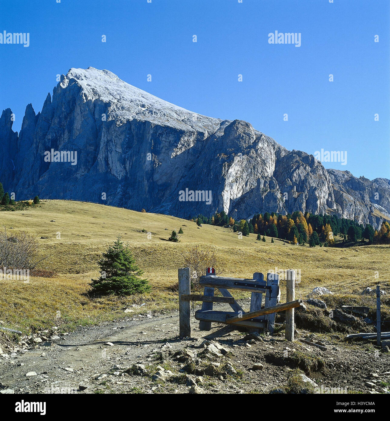 L'Italia, Alto Adige, Dolomiti, Alpe di Siusi, Sassopiatto, sentiero n. 7, all'esterno, montagne, montagne, il paesaggio di montagna, regione montagnosa, scenario, Vista, Vista, vertice, in modo obiettivo, obiettivo di legno, di gate Foto Stock