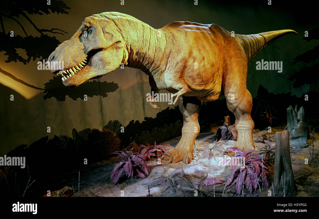 Animatronic dinosauro (T-Rex). Animatronici si riferisce all'uso su dispositivi robotici per emulare le caratteristiche più realistici per un altro oggetto inanimato. Recante la data del XXI secolo Foto Stock