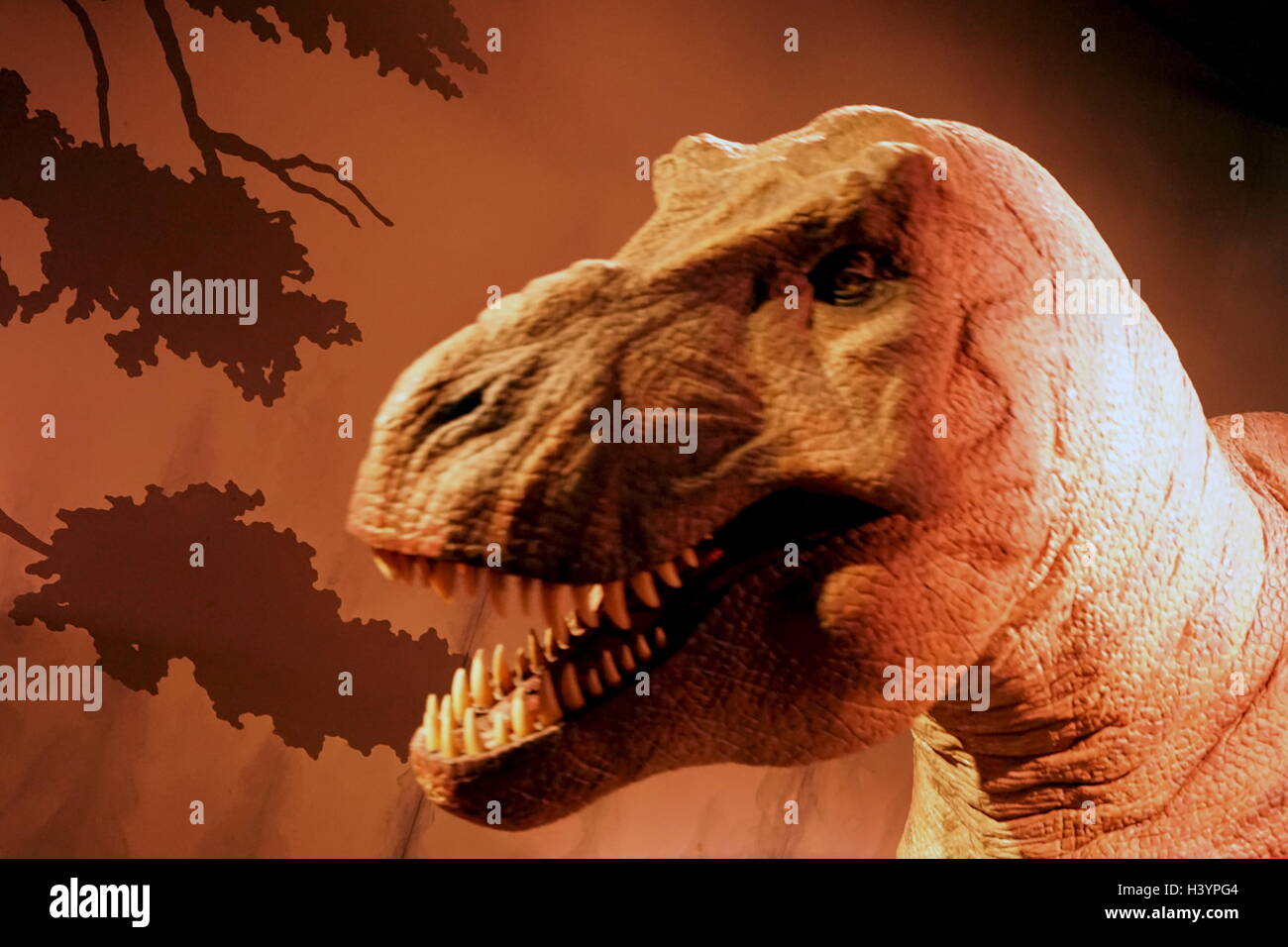 Animatronic dinosauro (T-Rex). Animatronici si riferisce all'uso su dispositivi robotici per emulare le caratteristiche più realistici per un altro oggetto inanimato. Recante la data del XXI secolo Foto Stock