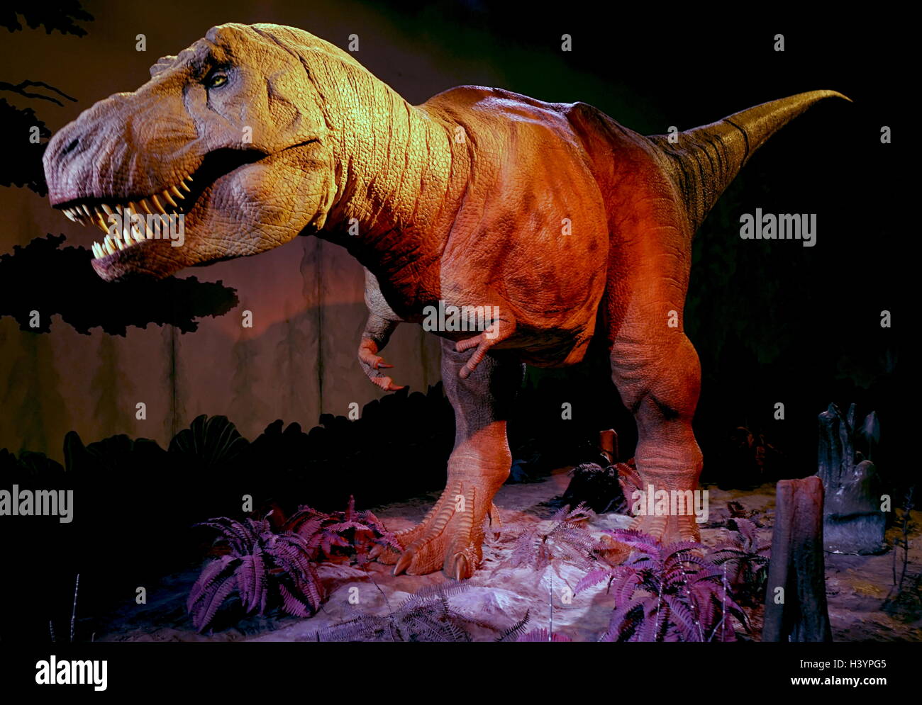 Animatronic dinosauro (T-Rex). Animatronici si riferisce all'uso su dispositivi robotici per emulare le caratteristiche più realistici per un altro oggetto inanimato. Recante la data del XXI secolo Foto Stock