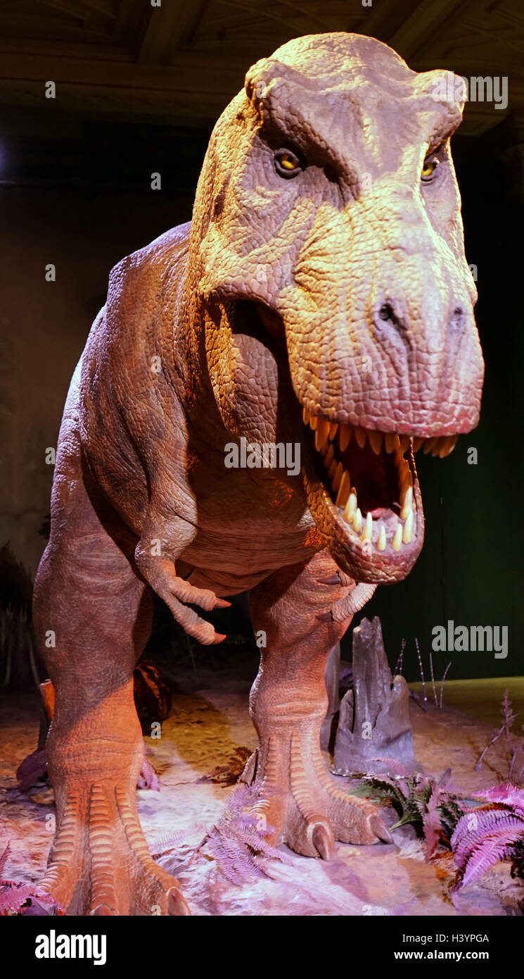 Animatronic dinosauro (T-Rex). Animatronici si riferisce all'uso su dispositivi robotici per emulare le caratteristiche più realistici per un altro oggetto inanimato. Recante la data del XXI secolo Foto Stock