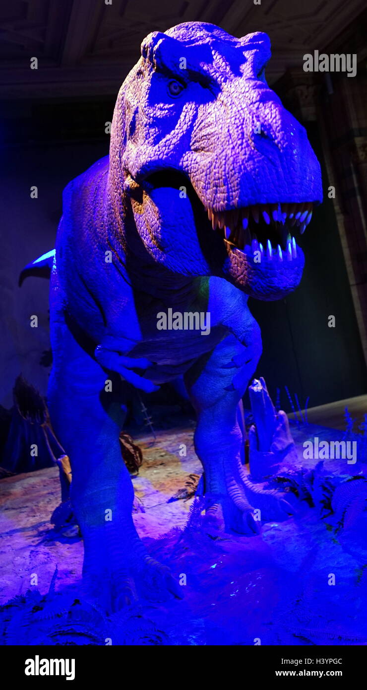 Animatronic dinosauro (T-Rex). Animatronici si riferisce all'uso su dispositivi robotici per emulare le caratteristiche più realistici per un altro oggetto inanimato. Recante la data del XXI secolo Foto Stock