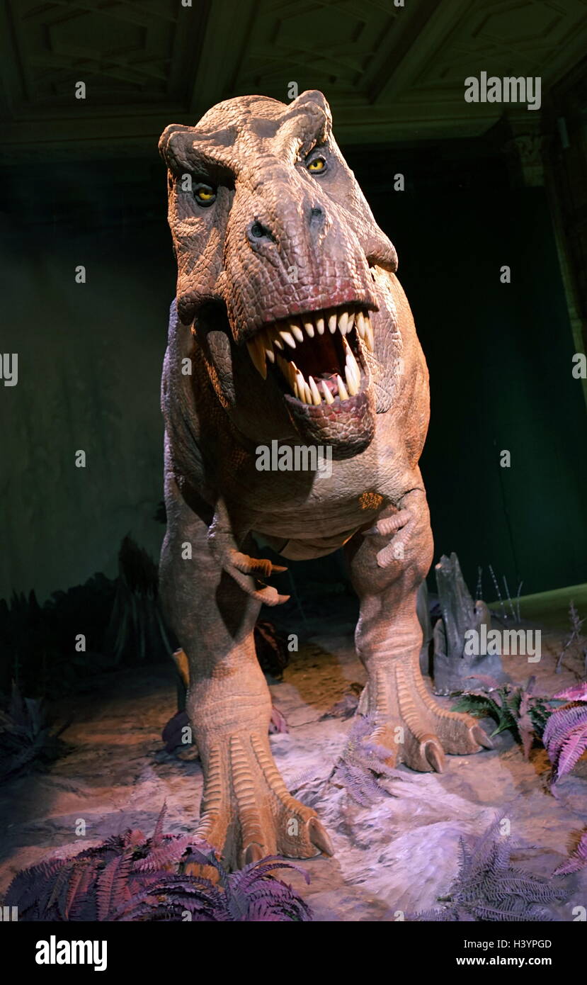 Animatronic dinosauro (T-Rex). Animatronici si riferisce all'uso su dispositivi robotici per emulare le caratteristiche più realistici per un altro oggetto inanimato. Recante la data del XXI secolo Foto Stock