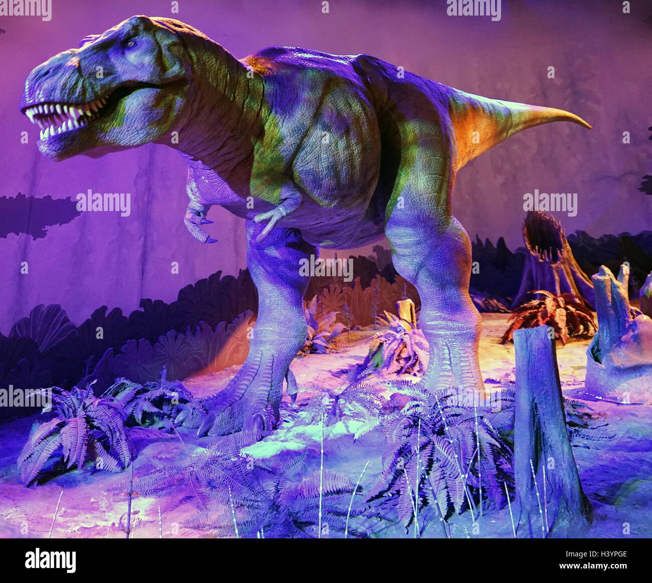 Animatronic dinosauro (T-Rex). Animatronici si riferisce all'uso su dispositivi robotici per emulare le caratteristiche più realistici per un altro oggetto inanimato. Recante la data del XXI secolo Foto Stock