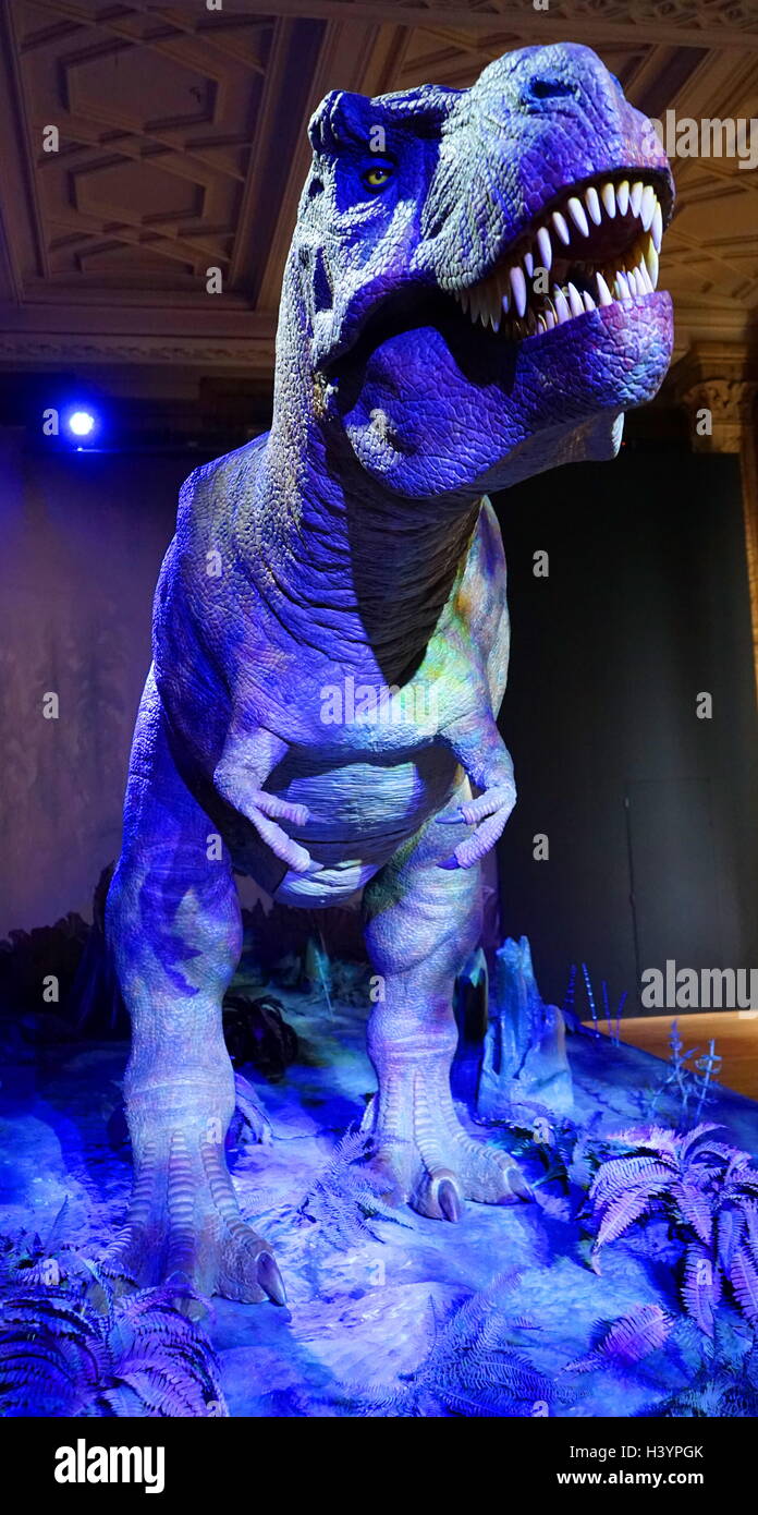 Animatronic dinosauro (T-Rex). Animatronici si riferisce all'uso su dispositivi robotici per emulare le caratteristiche più realistici per un altro oggetto inanimato. Recante la data del XXI secolo Foto Stock