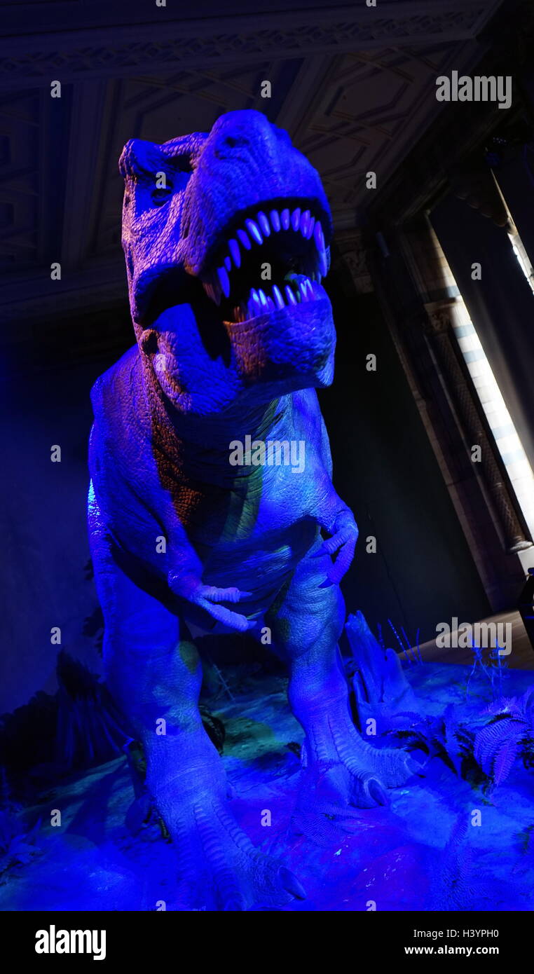 Animatronic dinosauro (T-Rex). Animatronici si riferisce all'uso su dispositivi robotici per emulare le caratteristiche più realistici per un altro oggetto inanimato. Recante la data del XXI secolo Foto Stock