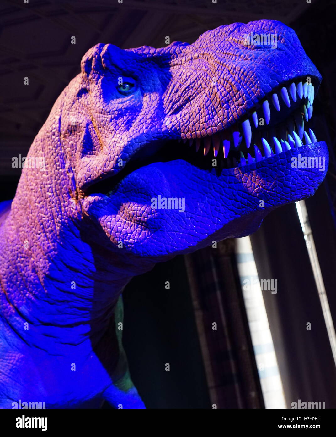 Animatronic dinosauro (T-Rex). Animatronici si riferisce all'uso su dispositivi robotici per emulare le caratteristiche più realistici per un altro oggetto inanimato. Recante la data del XXI secolo Foto Stock