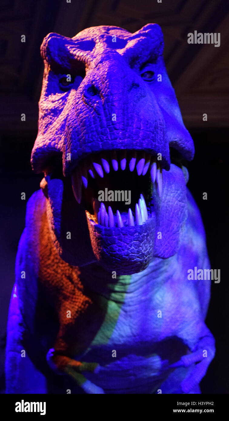Animatronic dinosauro (T-Rex). Animatronici si riferisce all'uso su dispositivi robotici per emulare le caratteristiche più realistici per un altro oggetto inanimato. Recante la data del XXI secolo Foto Stock