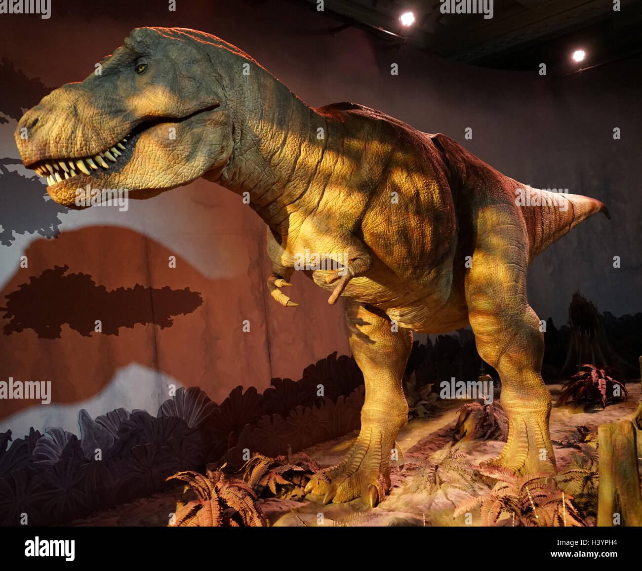 Animatronic dinosauro (T-Rex). Animatronici si riferisce all'uso su dispositivi robotici per emulare le caratteristiche più realistici per un altro oggetto inanimato. Recante la data del XXI secolo Foto Stock