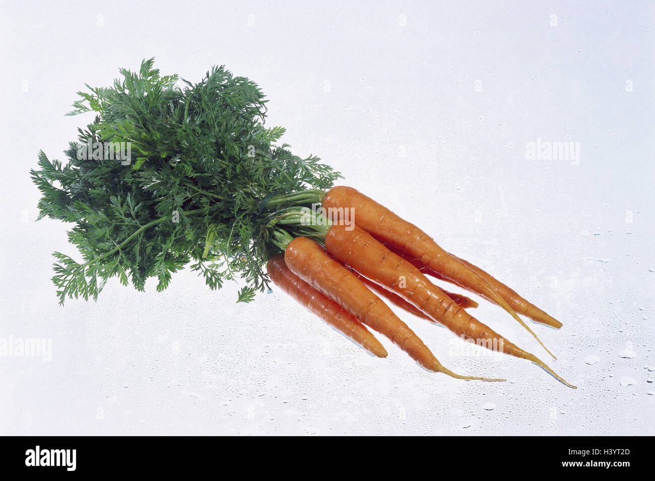 Carote carott cibo, cibo, carote, verdure, la nutrizione sana, materie cibo vegetariano, ombrella impianto, Daucus, carote, vitamine, carotene, studio, fotografia del prodotto, solo Foto Stock