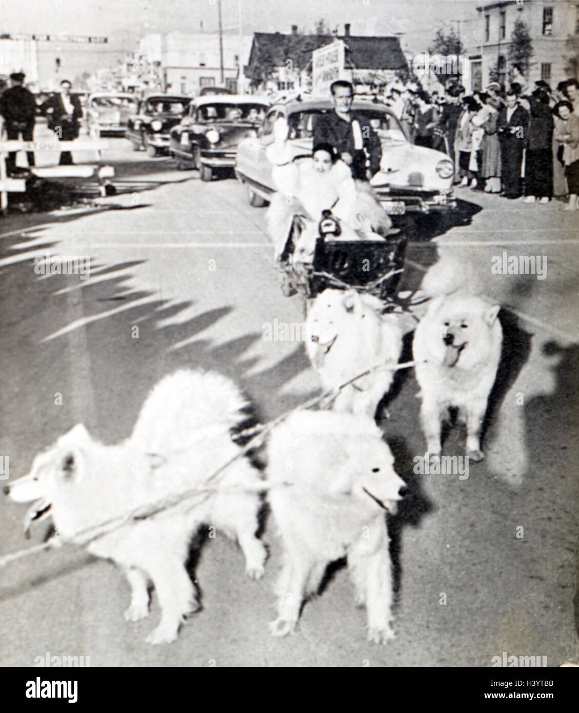 Fotografia dell'Alaskan premier di 'Il mondo nelle sue braccia' starring Ann Blyth e Gregory Peck. In data xx secolo Foto Stock