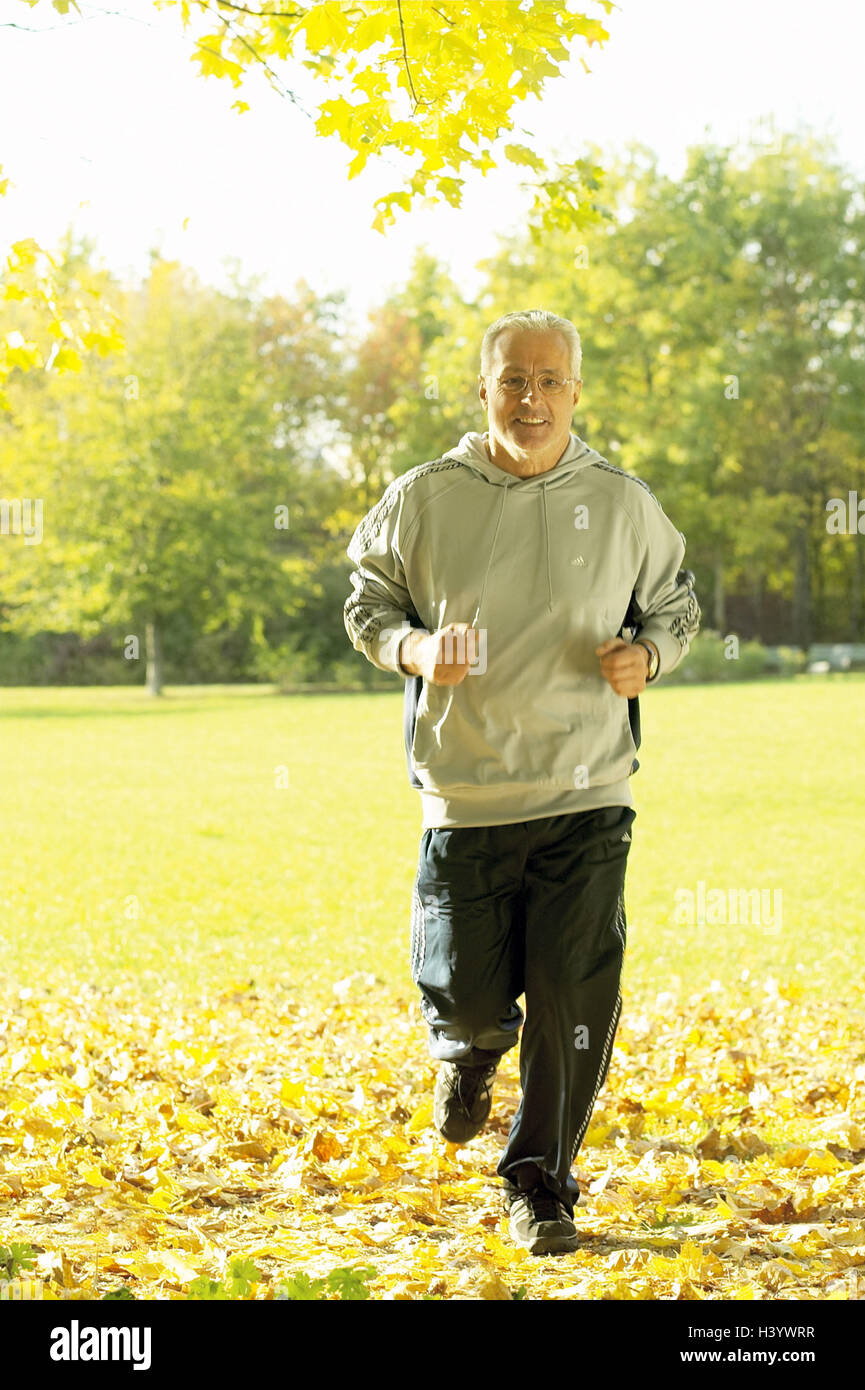 Park, senior, jogging, cittadini anziani, migliore età, sportivo e del tempo libero, fitness, montare, agile, jog, eseguire prompt in esecuzione, iniziativa, sport, sportily, motion, attività, ciclo, vitalità, legno, modo, autunno, stagione, autumnally Foto Stock