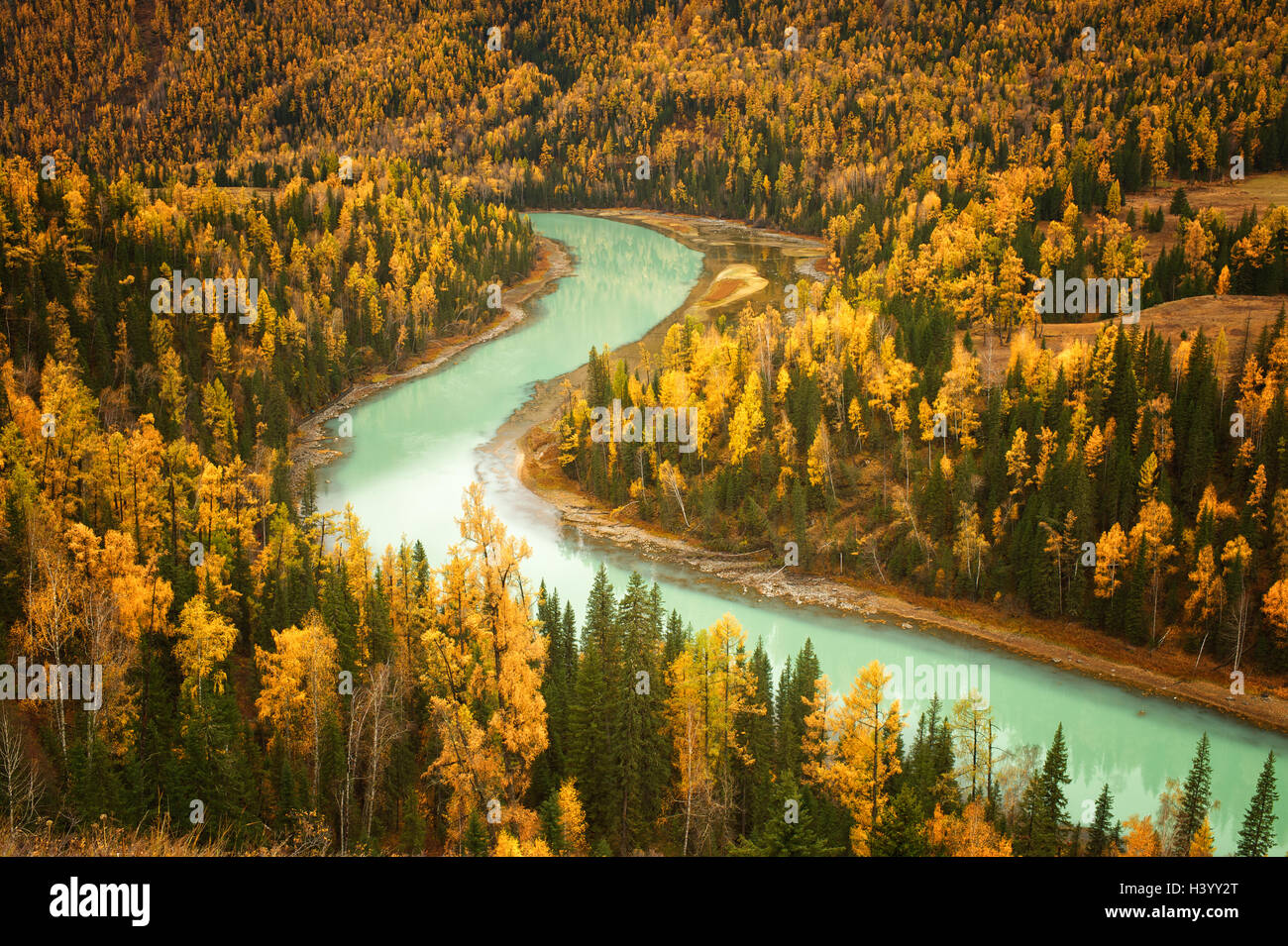 Lago di Kanas e foresta alpina, contea di Burqin, Prefettura di Altay, Xinjiang, Cina Foto Stock