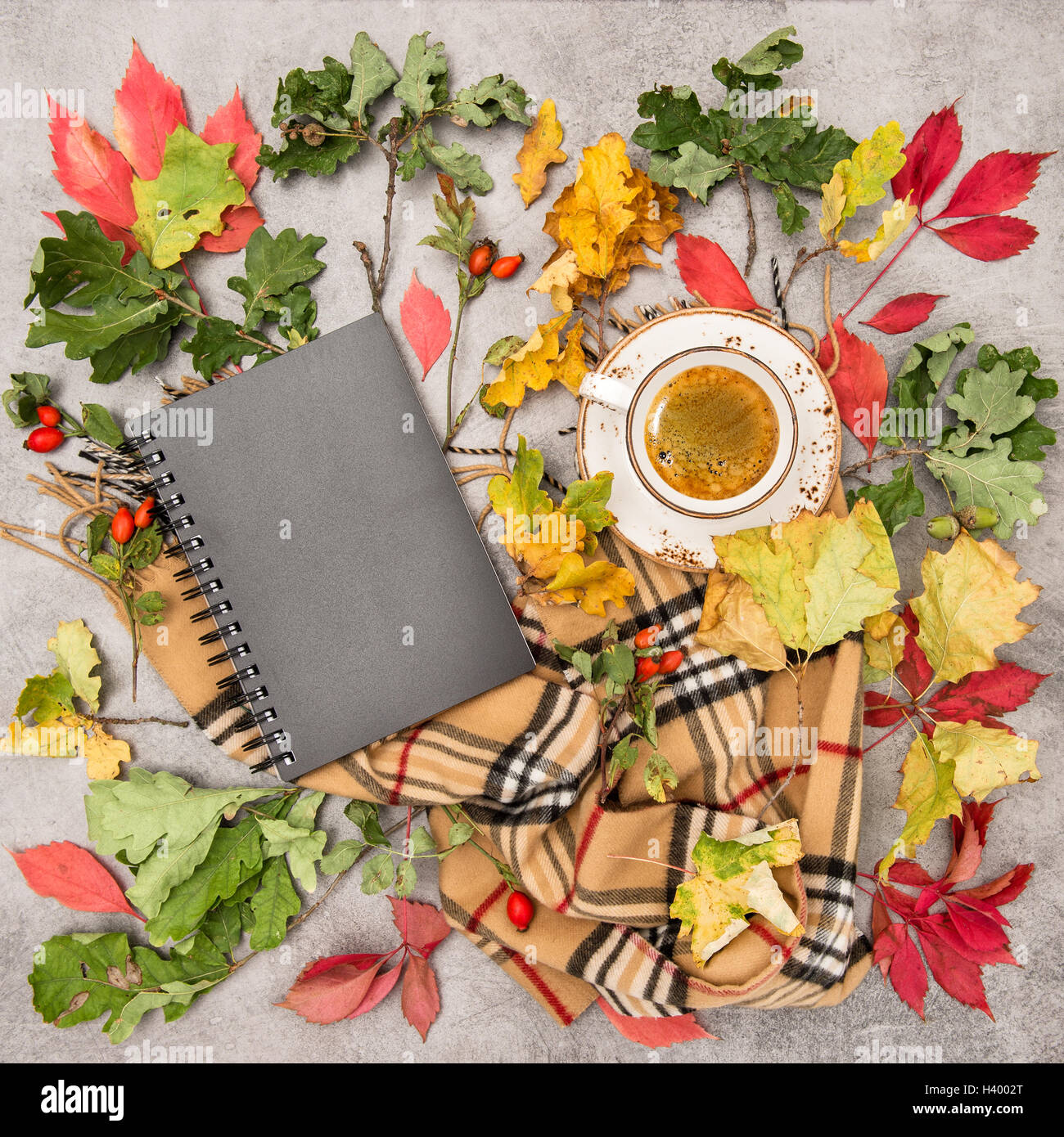 Foglie di autunno, libro e la tazza di caffè nero. Sfondo per sito, blogger, social media. Moda lay piatto Foto Stock