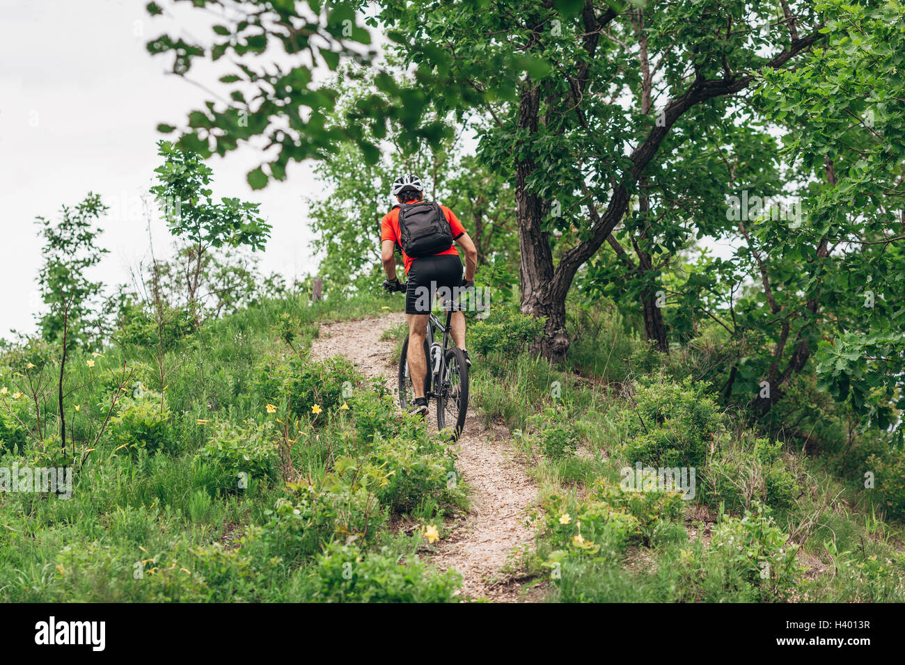 Vista posteriore dell'uomo equitazione mountain bike sulla pista sterrata in salita Foto Stock