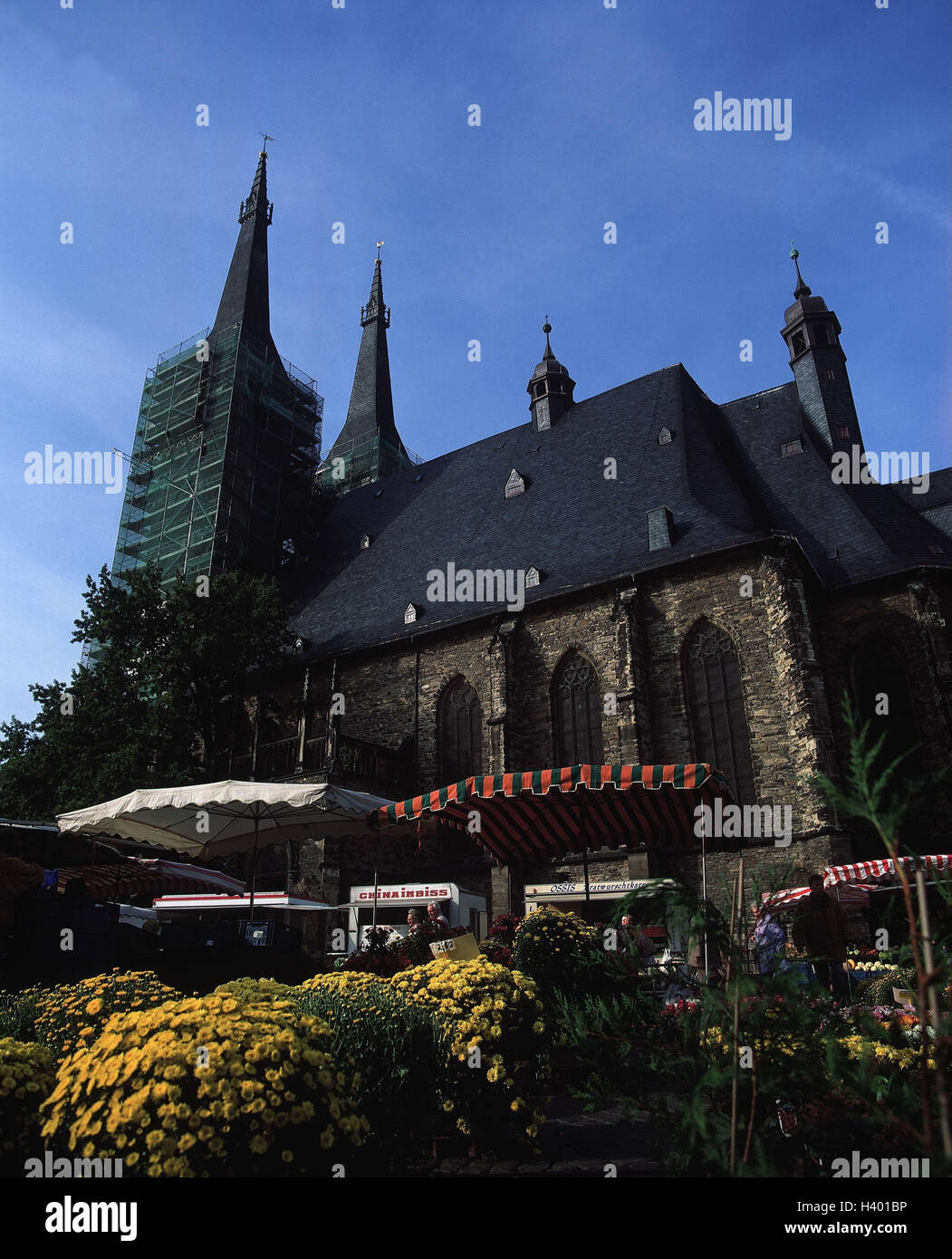 Germania, Sassonia-Anhalt, Köthen, chiesa, "pezzo Jakob' chiesa di pietra, fuori mercato, stand di vendita, vendita fiori, Foto Stock