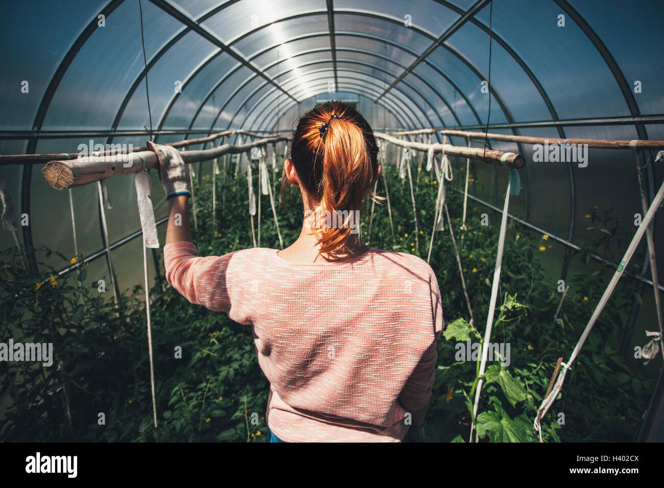 Vista posteriore della donna in piedi in mezzo a piante in serra Foto Stock