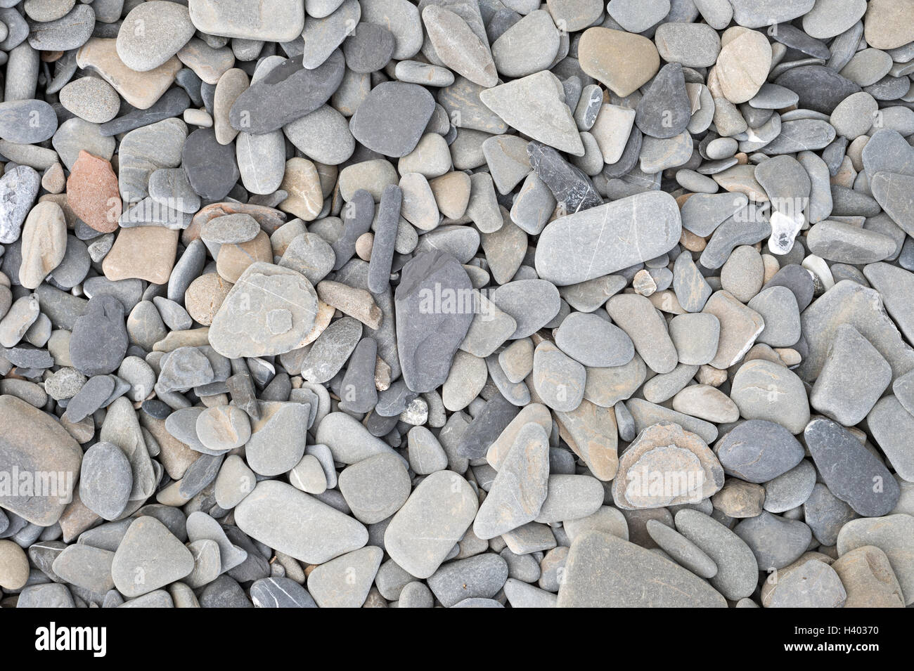 La texture di piccole pietre e ciottoli sulla spiaggia del Quebec Foto Stock