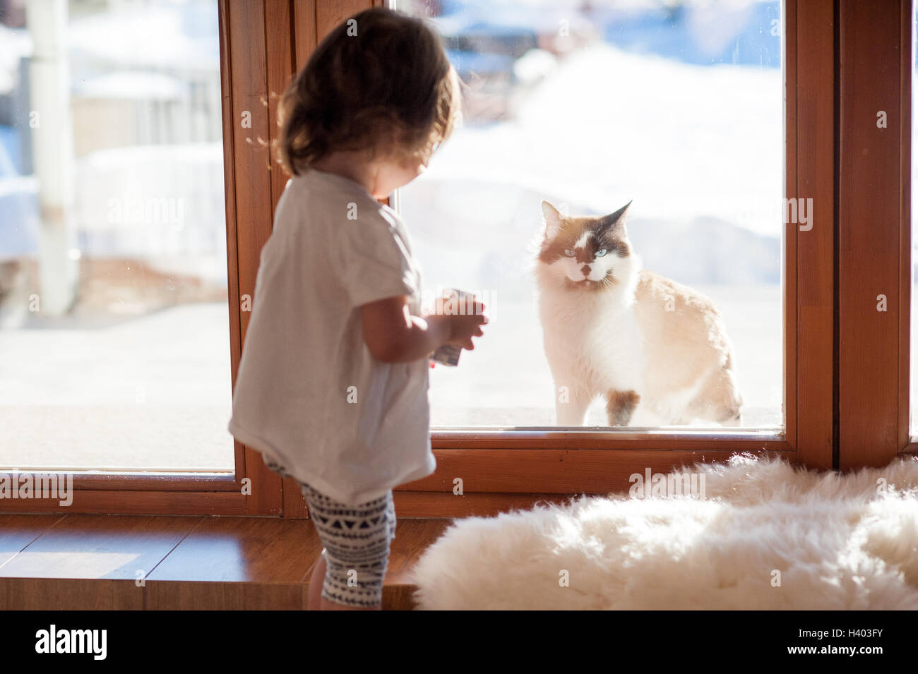 Migliori amici. Gatto e bambina guardando fuori della finestra. Foto Stock