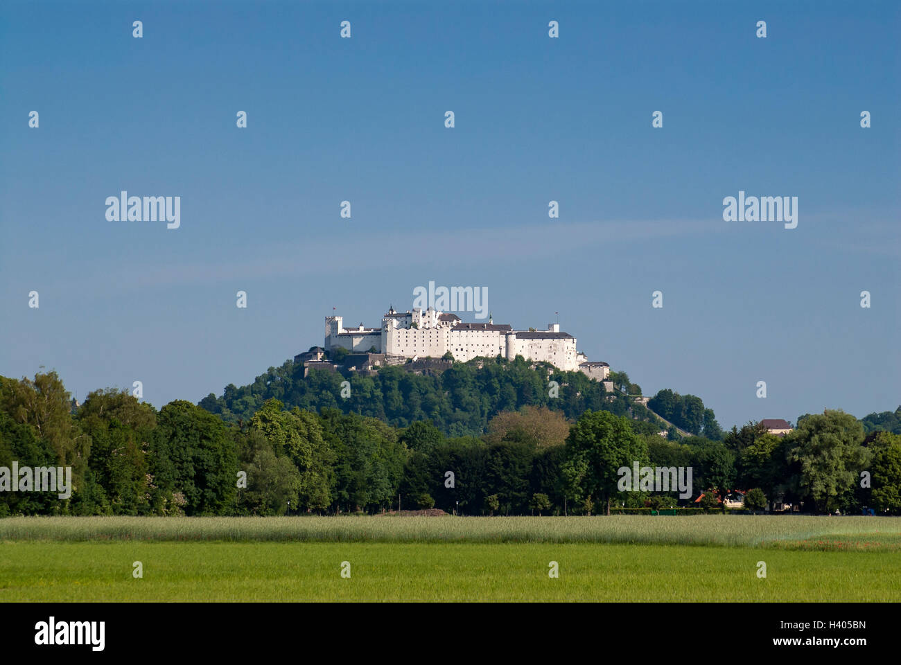 La fortezza Hohensalzburg (Castello) come visto dal Castello di Hellbrunn, Salisburgo, Austria Foto Stock