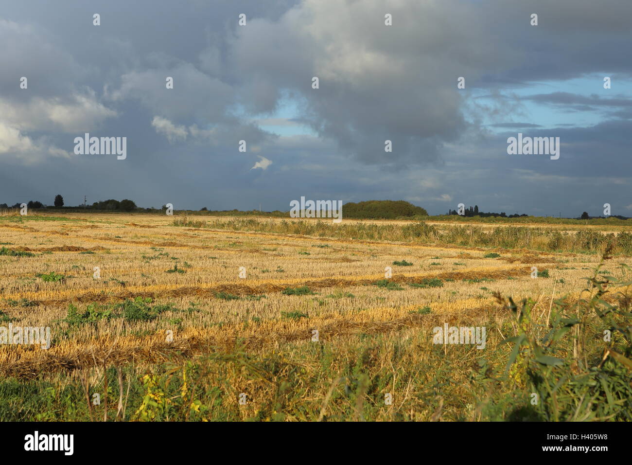 Lincolnshire Fen campo di stoppie big sky Foto Stock