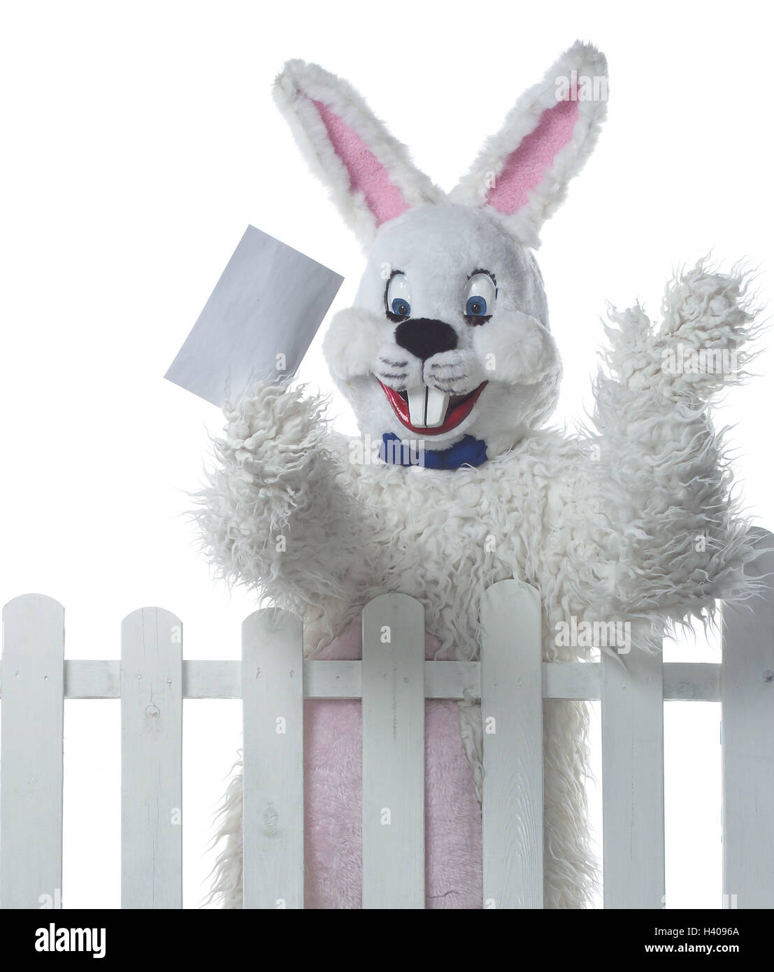 Giardino recinto, il coniglietto di Pasqua, wave, Busta, metà ritratto, lepre, pasqua, festa di Pasqua, figlio di fede, rivestimento, pannelli, costume, lepre è costume, umorismo, divertente, ironicamente, amichevole, felice, infantile, post, Lettera, coupon, portare, messenger, recinzione, paling in legno, Foto Stock