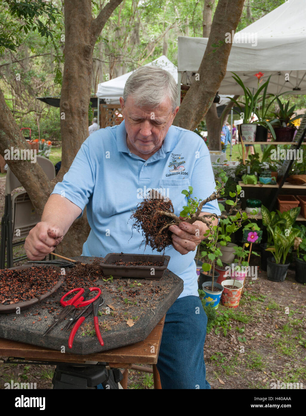 Spring Garden festival in un giardino della Florida. L uomo dando un bonsai dimostrazione di incapsulazione. Foto Stock