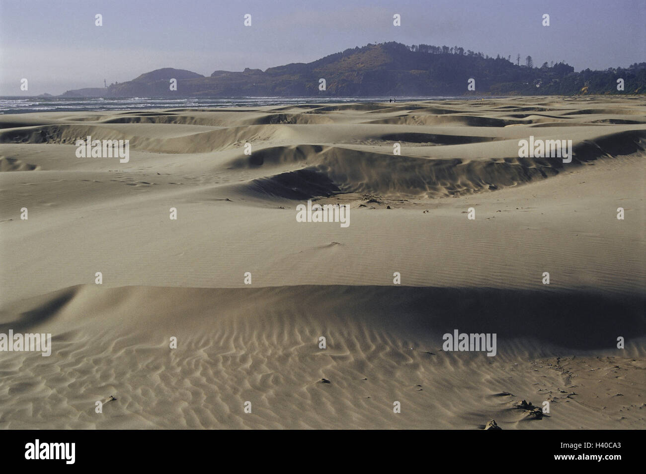 Gli Stati Uniti, Oregon, Newport, Agate Beach, dune di sabbia e dune, dune di sabbia, sabbia, la natura, la collina, cielo nuvoloso, esterno Foto Stock