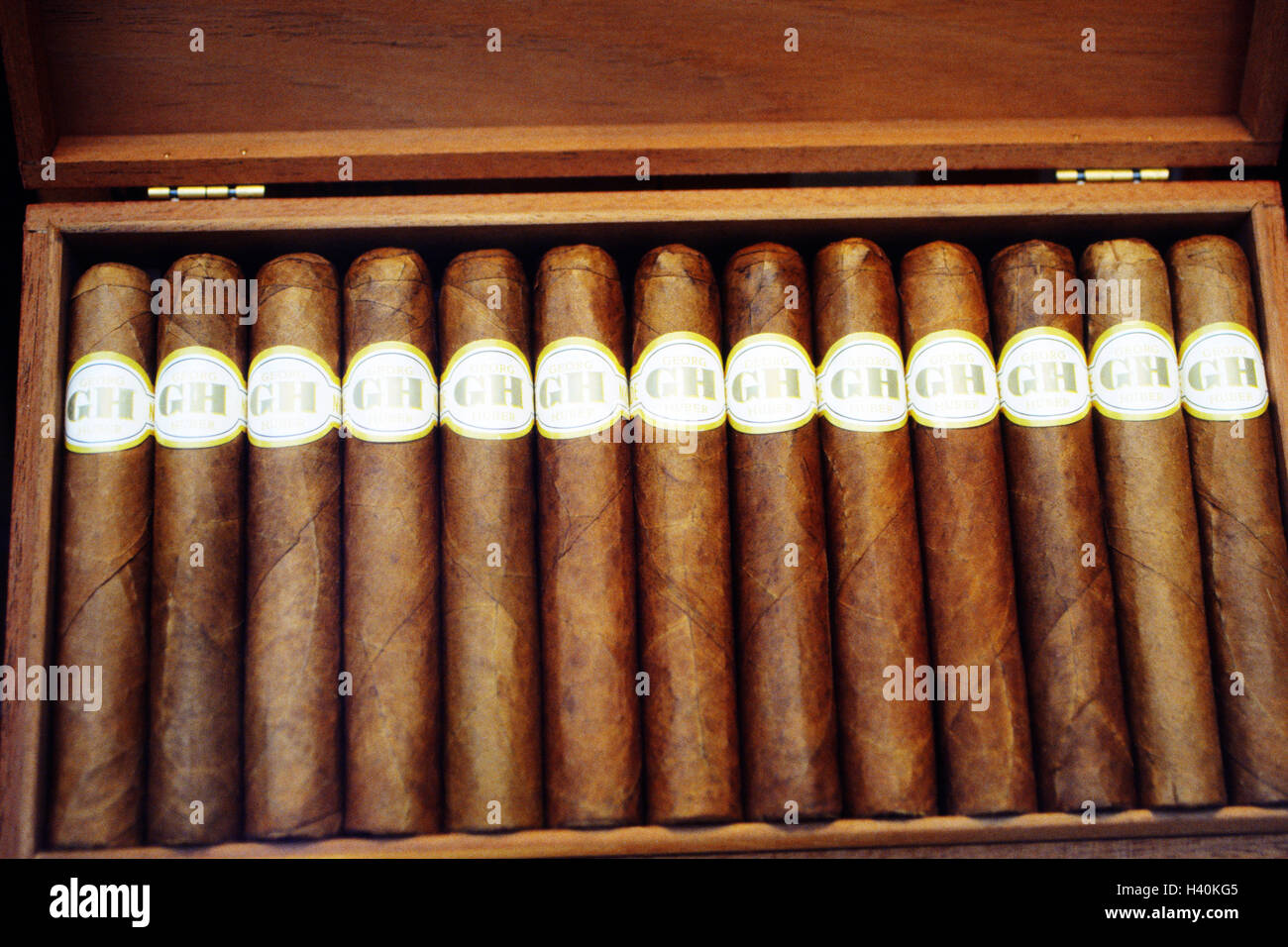 Scatola di legno, sigari, Astuccio per sigari, un sigaro, fianco a fianco, banderoles, leganti, iniziale 'GH', fumatori, esclusivamente, tabacco, lusso, prodotti a base di tabacco, la nicotina, la fotografia del prodotto, still life Foto Stock