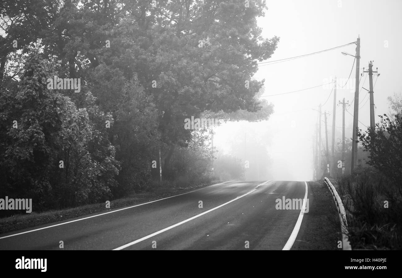 Vuoto autostrada rurale in autunno mattinata nebbiosa, in bianco e nero stilizzato retrò foto Foto Stock