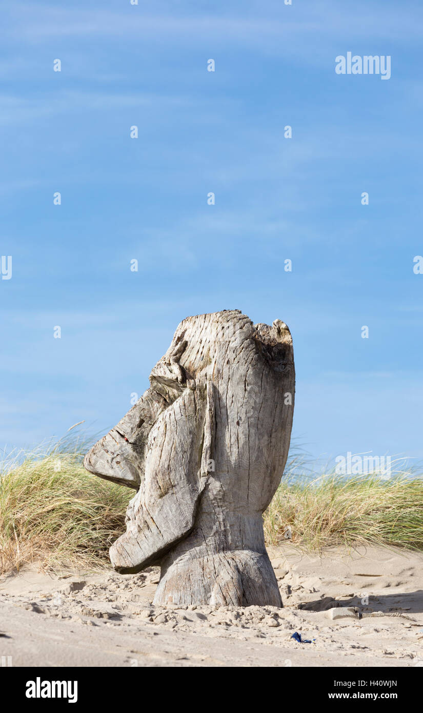 Scultura in legno basata sull'isola di pasqua nelle dune di sabbia a Blaenau Ffestiniog, Galles del Nord, Regno Unito Foto Stock